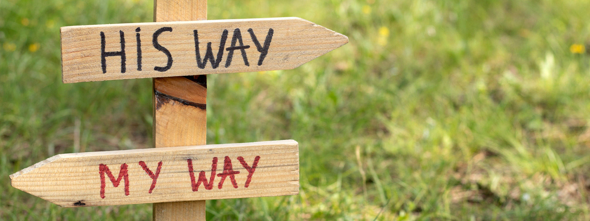 First Steps Header