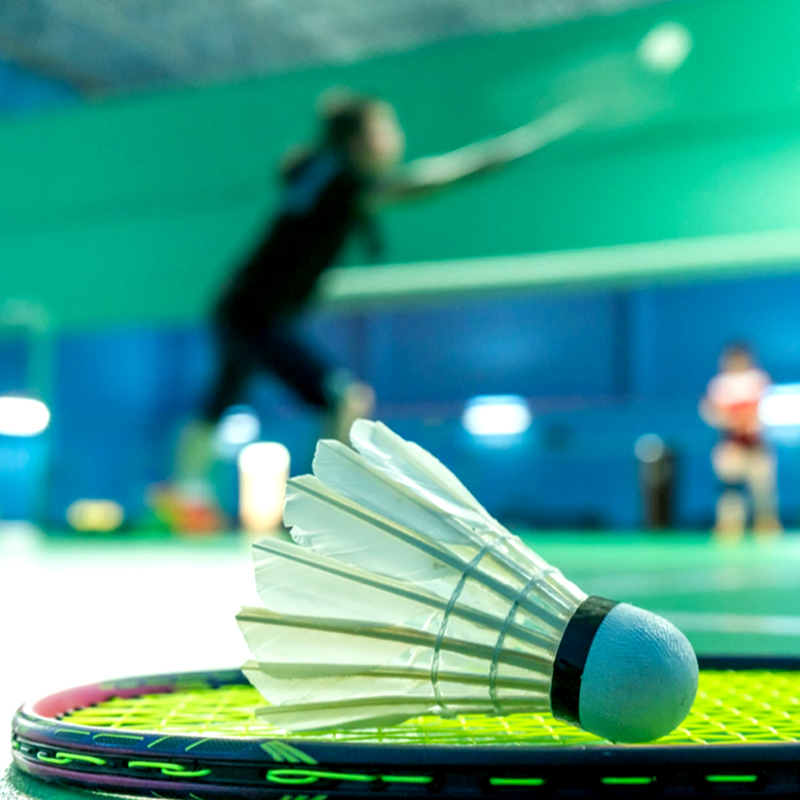 Badminton Arty