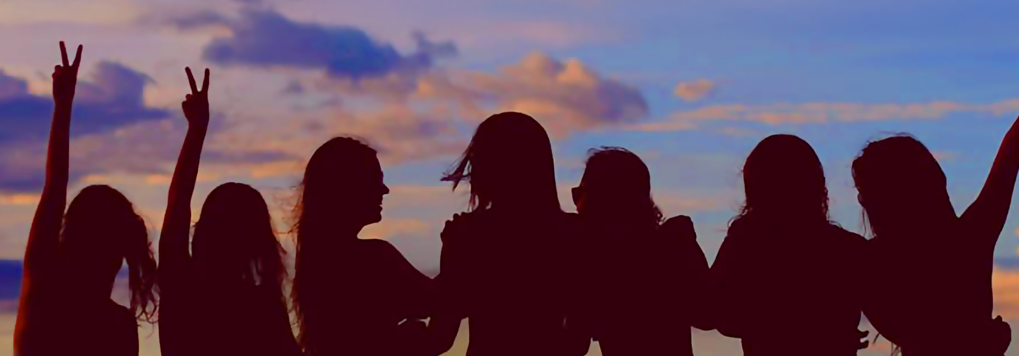 Ladies Ministry Header